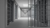 Lord Prison clir polit control Gov 2217 Сriminal Act 2217 Law